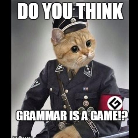 TheGrammarNazi