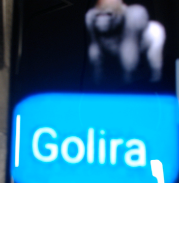 Golira