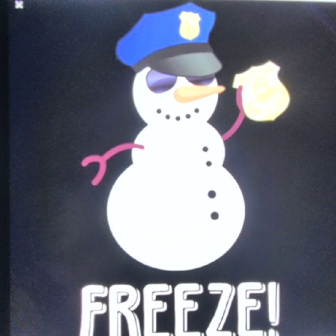 officersnowflake