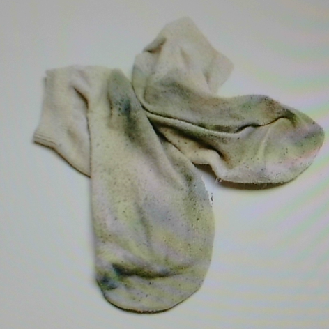 AllMySocksHaveHolesInThem